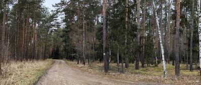 Studzianki ↔ Orzeszków, rozejście szlaków