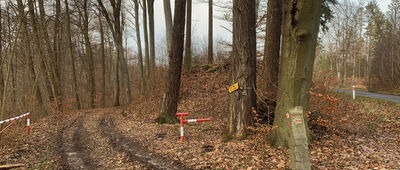 Rybin ↔ Jezioro Buszno, plaża