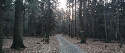 Rezerwat Liwocz, parking ↔ Rezerwat Liwocz