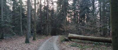 Rezerwat Liwocz, parking ↔ Rezerwat Liwocz