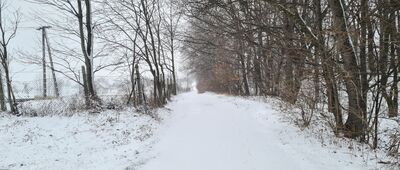 Goleszów, ul. Dworcowa ↔ Goleszów, dom opieki [ul. Pod Chełmem]