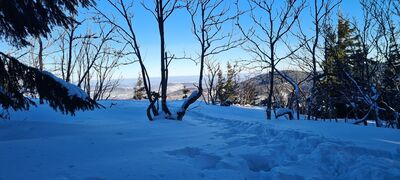 Widok w kierunku południowym z czerwonego szlaku na Sokolicę