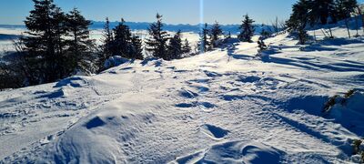 Widok na Tatry z czerwonego szlaku na Babią Górę 1450m n.p.m.