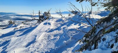 Widok na Tatry Zachodnie z czerwonego szlaku na Babią Górę 1450m n.p.m.