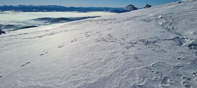 Widok na Tatry z czerwonego szlaku na Babią Górę 1540m n.p.m.