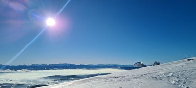 Widok na Tatry z czerwonego szlaku na Babią Górę 1540m n.p.m.