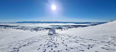 Widok na Tatry z czerwonego szlaku na Babią Górę 1570m n.p.m.