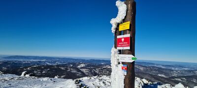 Mała Babia Góra 1517 m n.p.m.