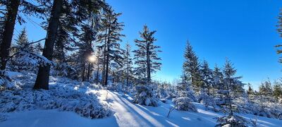 Żywieckie Rozstaje 1098m n.p.m.