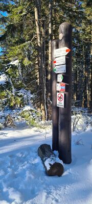 Żywieckie Rozstaje 1098m n.p.m.