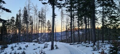 Widok na Mosorny Groń z Górny Płaj tuż przed zmrokiem