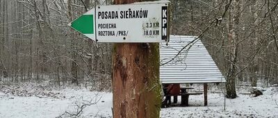 Stary Dąb [Posada Sieraków]