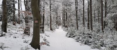 Skrzyżowanie pod Smrekowicą ↔ Nad Przełęczą Beskidek