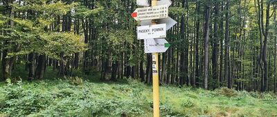 Kalinovské sedlo [Węzeł szlaków Kalinovske sedlo, lub - jak kto woli - Paseky, pomnik; zielony szlak do Kalinova schodzi w tym miejscu z grzbietu]