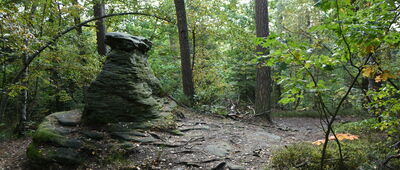 Skrzyżowanie szlaków czerwony / czarny ↔ Rezerwat Skałki Piekło pod Niekłaniem [Skałki rezerwatu przyrody Skałki Piekło pod Niekłaniem]