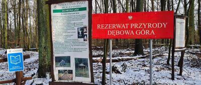 Rezerwat Dębowa Góra [Rezerwat przyrody "Dębowa Góra", tablica rezerwatu przy szlaku]