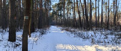 Pod Diabelską Górą ↔ Miękinia