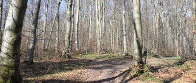 Pod Słonnym Wierchem