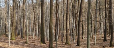 Skrzyżowanie nad Jegłówką ↔ Skrzyżowanie pod Gromnikiem