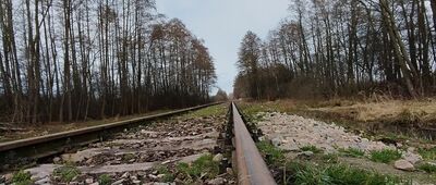 Tarnów, Krzyż ↔ Biała [Tort na Szczucin]