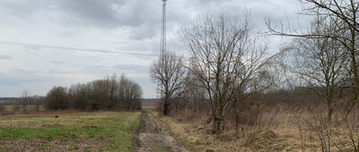 Gryfów Śląski, cmentarz ↔ Biedrzychowice, rozejście szlaków