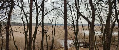 Borysów ↔ Rezerwat Piskory