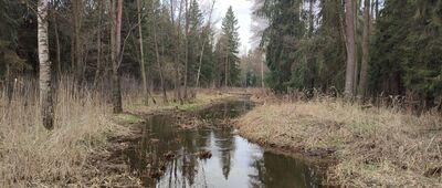 Rezerwat Piskory ↔ Borysów [Duży Pioter]
