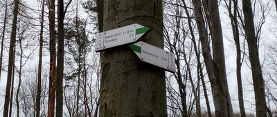 Pomnik Pamięci Rozstrzelanych [A ty w którą stronę idziesz]