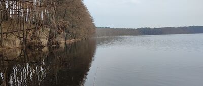 Jeleniec ↔ Rozejście szlaków [Jezioro Kubek]