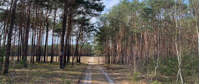 Rozejście szlaków ↔ Rozejście szlaków