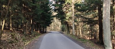 Buchcickie ↔ Piotrkowice [Piotrkowice]