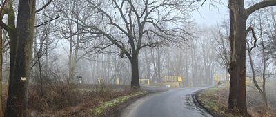 Kotowice ↔ Szewce, stacja kolejowa