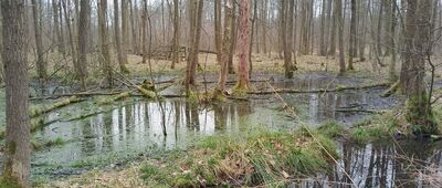 Skrzyżowanie nad Zuzanką ↔ Źródło Cyryla