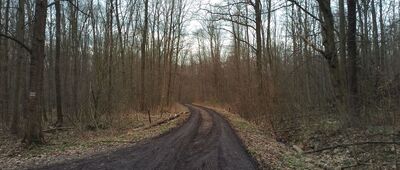 Skrzyżowanie nad Zuzanką