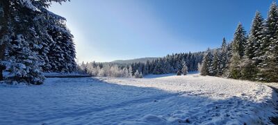 Widok na polanę "Bajorzysko"