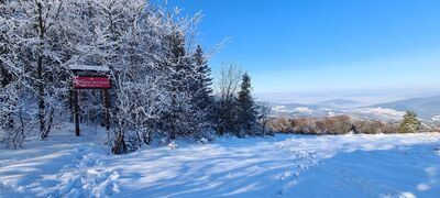 Widok w kierunku Babiej na skraju Rezerwatu Przyrody Mogielica na Wyśnikówce