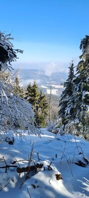 Zielony szlak na Mogielicę