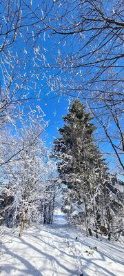 Zielony szlak na Mogielicę