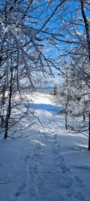 Zielony szlak na Mogielicę