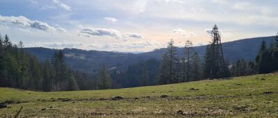 Kobyla Sałasz [Widok na Przełęcz Łączecko, za nią lekko wystaje Ochodzita, dalej Beskid Żywiecki]