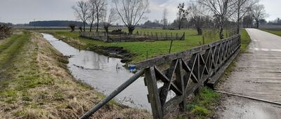 Andrzejów ↔ Urszulin, rozejście szlaków [Jeden z wielu kanałów i rowów w okolicy Urszulina]