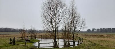 Dębowiec ↔ Urszulin, ul. Kwiatowa