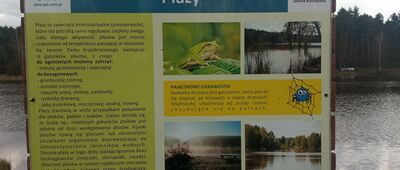 Konopiska, zalew Pająk ↔ Konopiska, stadion