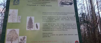 Rozejście ścieżki