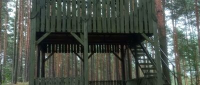 Korzonek ↔ Aleksandria