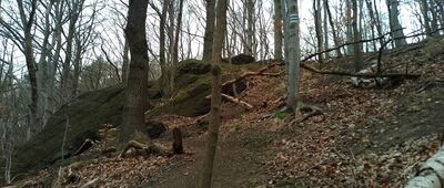 Skrzyżowanie szlaków niebieski / zielony