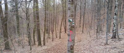 Skrzyżowanie szlaków niebieski / zielony