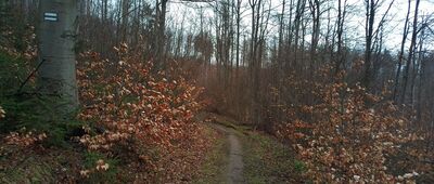 Przełęcz pod Gołębią