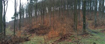 Przełęcz pod Gołębią