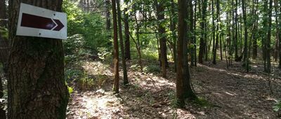 Rozejście szlaku ↔ Ostaniec Rajce